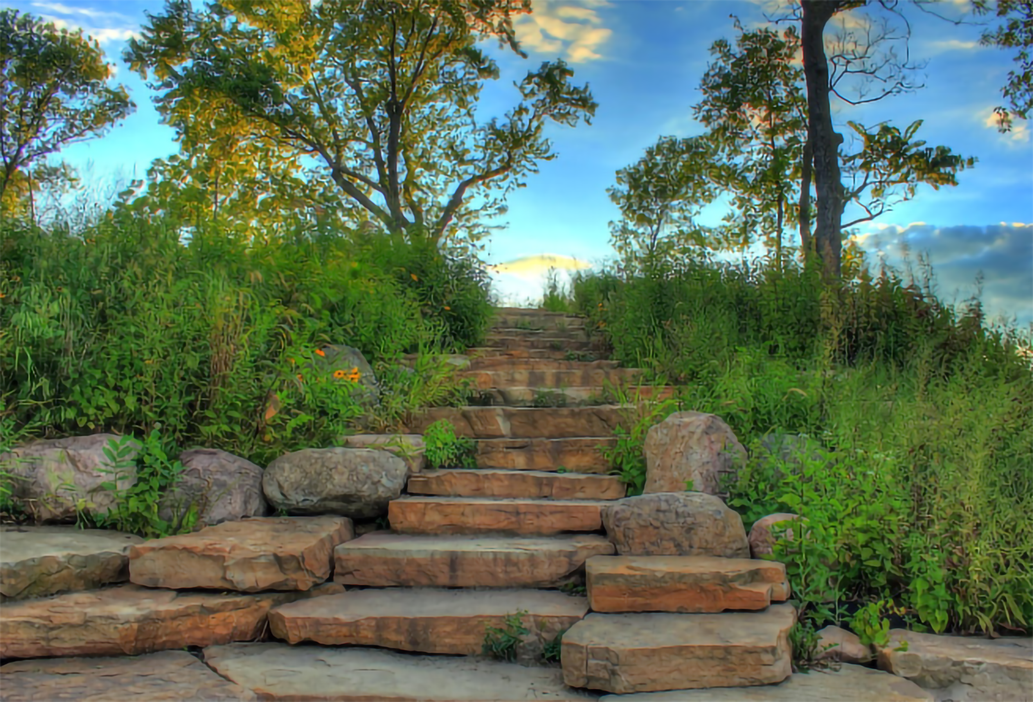 landscaping services summit county utah